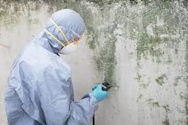 Best Mold Prevention Services  in Overland, MO